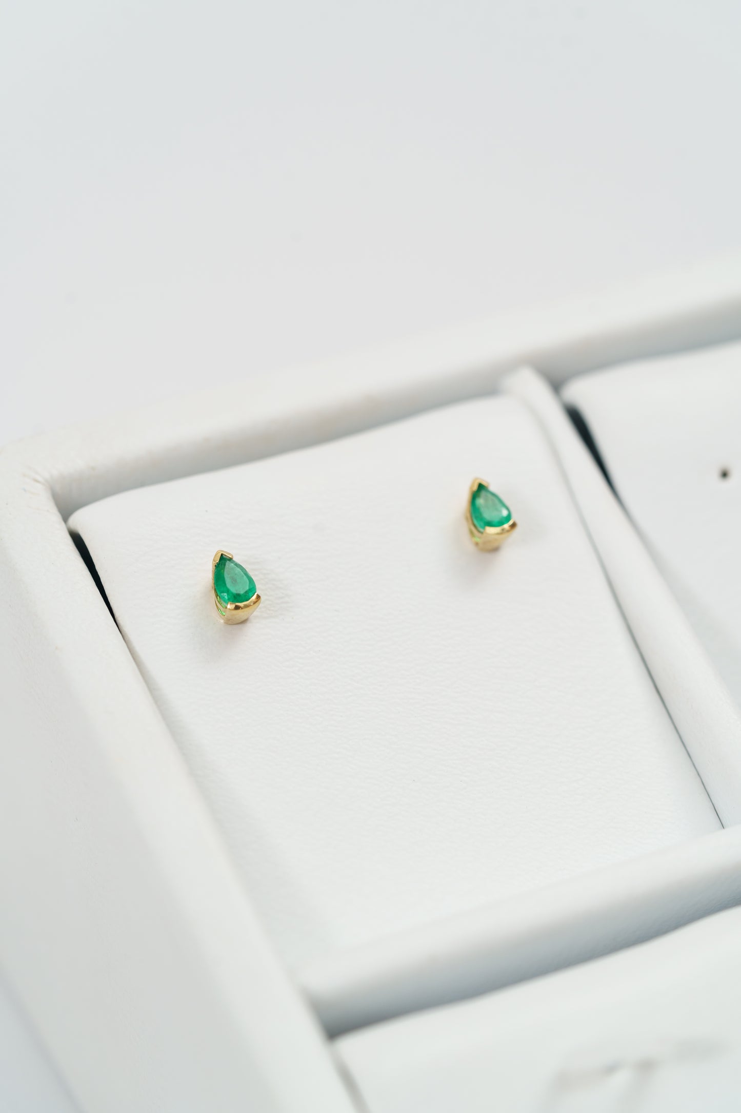 54. TOPOS GOTA ESMERALDA